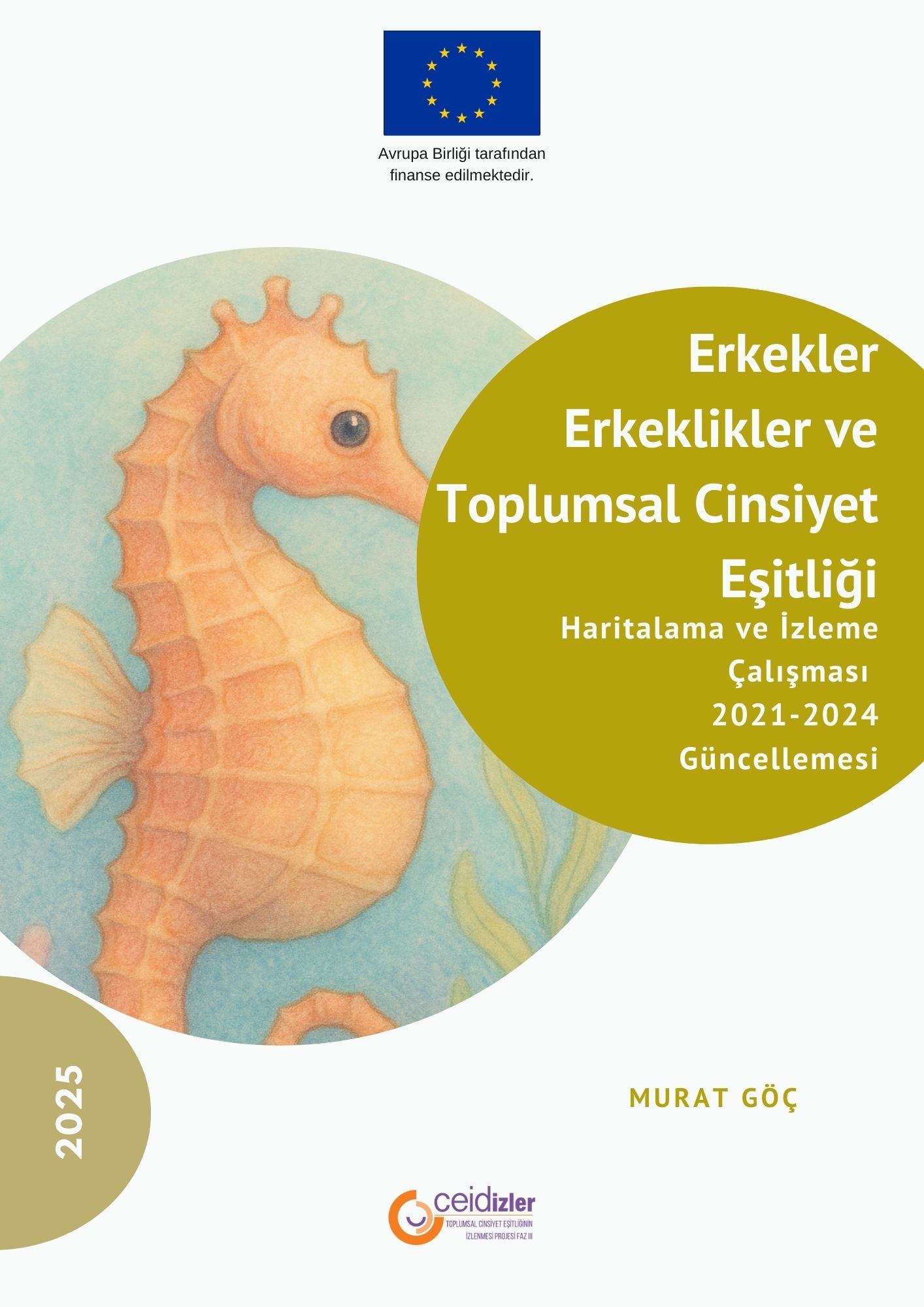Erkekler, Erkeklikler ve Toplumsal Cinsiyet Eşitliği Haritalama ve İzleme Çalışması 2021-2024 Güncellemesi