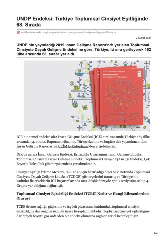 UNDP Endeksi: Türkiye Toplumsal Cinsiyet Eşitliğinde 68. Sırada