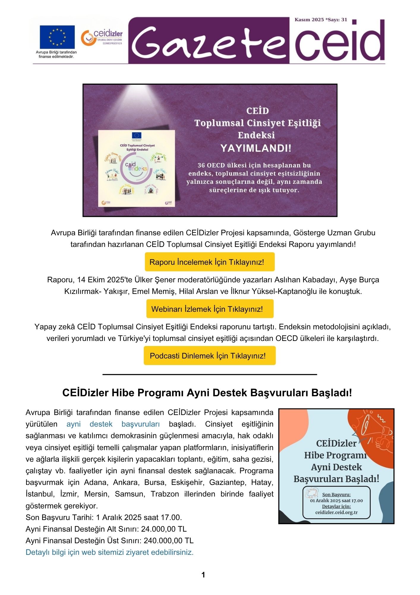 Gazete CEİD 31. Sayı