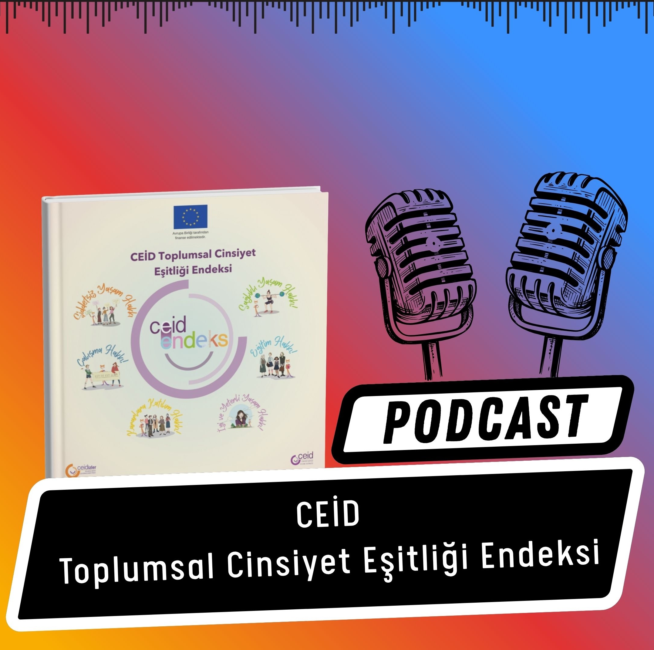 Yeni Bölümde CEİD Endeksi Konuştuk!