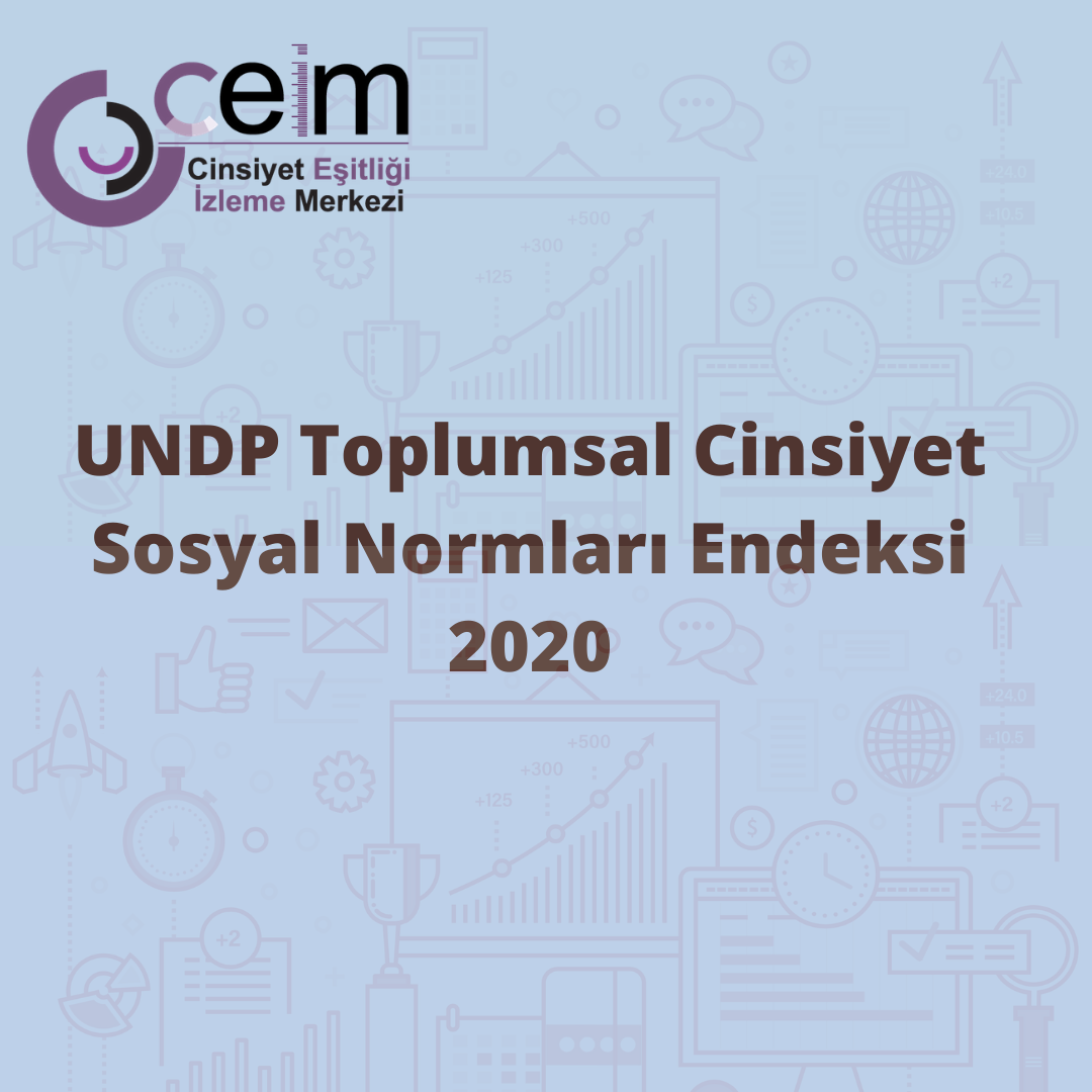 UNDP Toplumsal Cinsiyet Sosyal Normları Endeksi 2020