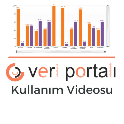 CEİM Veri Portalı Kullanım Videosu
