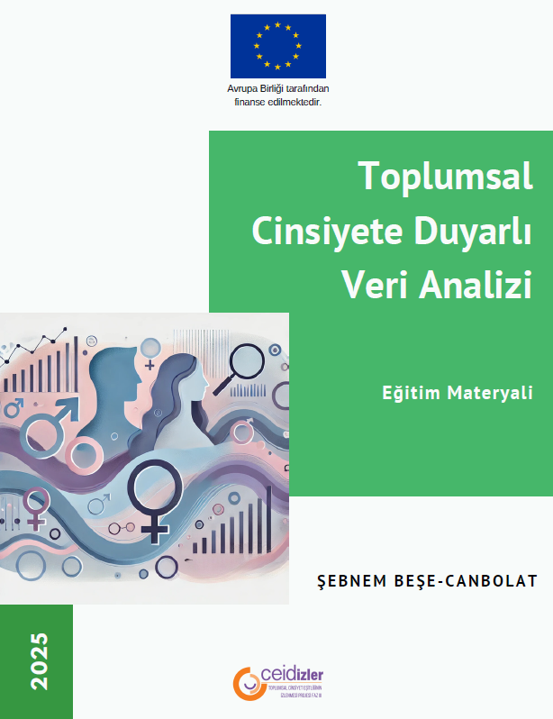 Toplumsal Cinsiyete Duyarlı Veri Analizi
