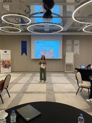CEİDizler Projeleri Ankara’da Buluştu | Cinsiyet Eşitliği İzleme Platformu