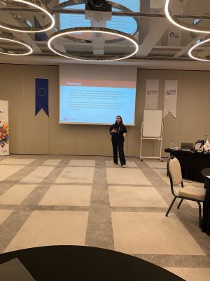 CEİDizler Projeleri Ankara’da Buluştu | Cinsiyet Eşitliği İzleme Platformu