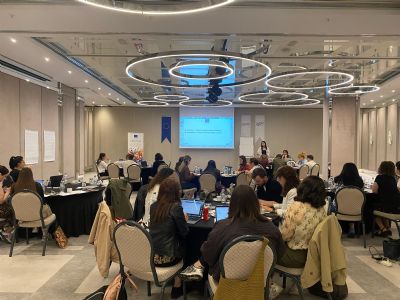 CEİDizler Projeleri Ankara’da Buluştu | Cinsiyet Eşitliği İzleme Platformu