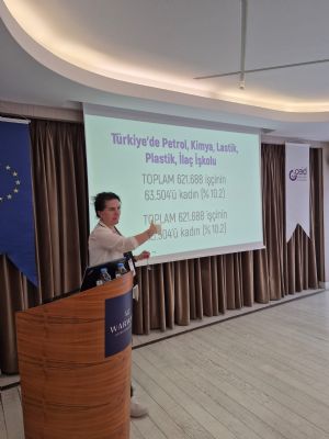 İşyerinde Şiddet ve Tacizle Mücadele İçin Hep Birlikte! | Cinsiyet Eşitliği İzleme Platformu