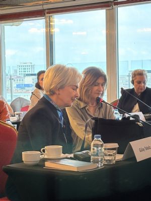Bölgesel Deneyim Paylaşımında Buluştuk: “Birbirimizi Dinlemek, Birbirimizi Görmek” | Cinsiyet Eşitliği İzleme Platformu