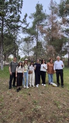 Adana’nın 2. Çeşitlilik Festivali Tamamlandı! | Cinsiyet Eşitliği İzleme Platformu